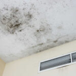 Mietminderung Bei Schimmel Möglich | + Musterschreiben Intended For Mietminderung Schimmel Schlafzimmer