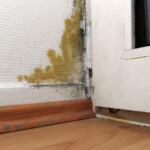 Mietrecht: Schimmelpilzgefahr Kein Grund Für Mietminderung | Stern.de Pertaining To Mietminderung Schimmel Schlafzimmer