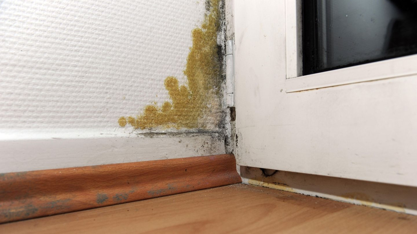 Mietrecht: Schimmelpilzgefahr Kein Grund Für Mietminderung | Stern.de pertaining to Mietminderung Schimmel Schlafzimmer